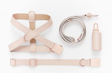 Handmade Leather Dog Gear from Fable