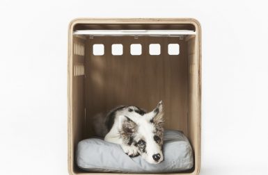 Bentwood Dog Crate From Fable