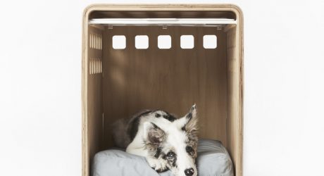 Bentwood Dog Crate From Fable