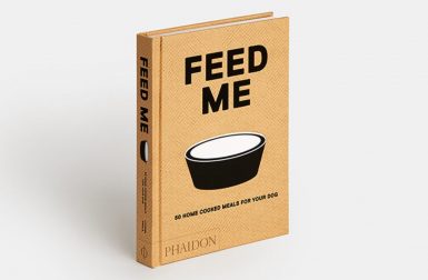 Feed Me by Liviana Prola