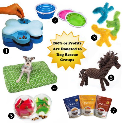 Support Rescues with Fun Time Dog Shop!