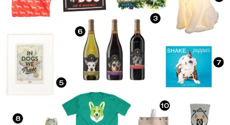 Dog Milk Holiday Gift Guide: 22 Great Gift Ideas for Dog Lovers