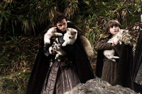 Bark Out Loud: Modern Day ‘Game of Thrones’ Dire Wolves