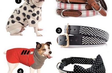 Dog Milk Holiday Gift Guide: 30+ Stylish Dog Clothes, Collars, and Leashes