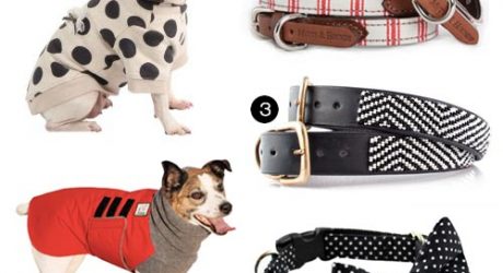 Dog Milk Holiday Gift Guide: 30+ Stylish Dog Clothes, Collars, and Leashes
