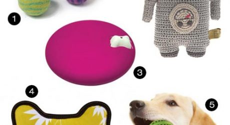 Dog Milk Holiday Gift Guide: 20 Cool Toys for Dogs