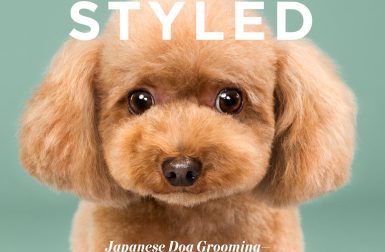 Puppy Styled Book by Grace Chon