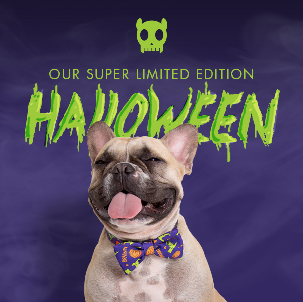Limited Edition Halloween Zombie Accessories from Zee.Dog