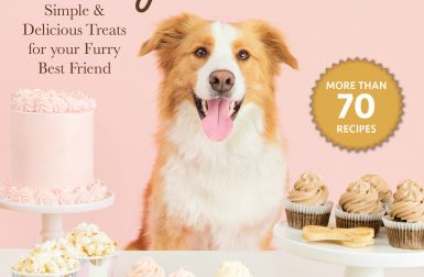 Healthy Homemade Dog Treats Recipe Book