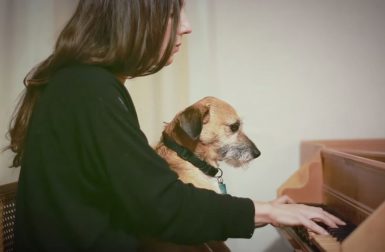 Julia Holter's Dog-Filled <i>Feel You</i> Video