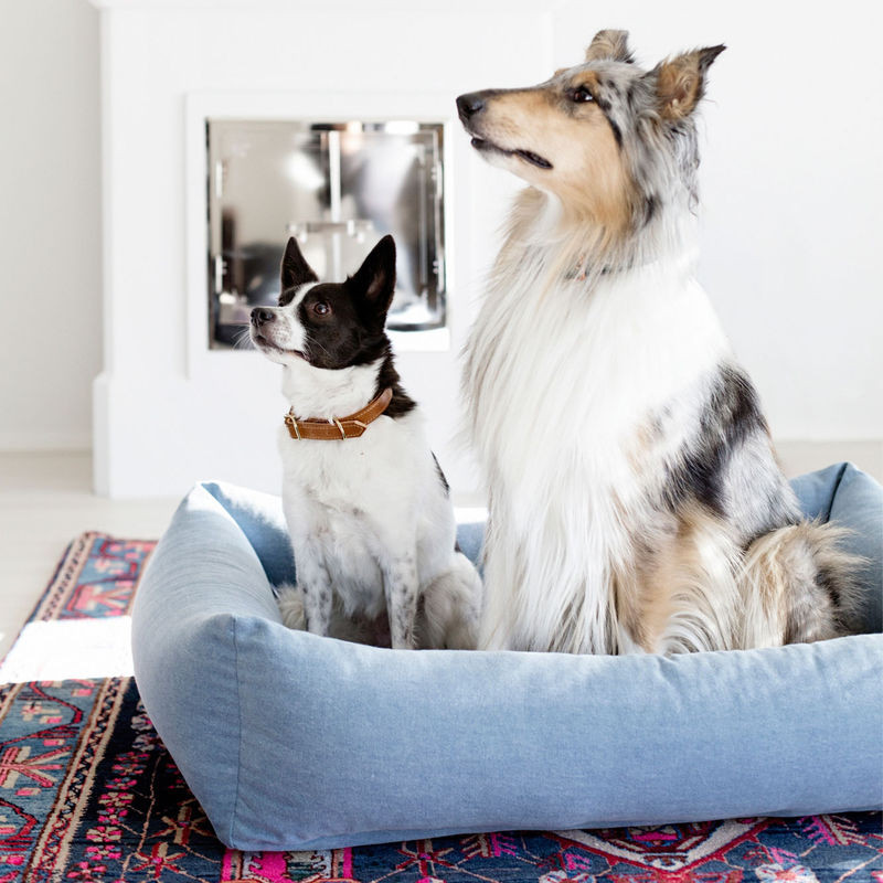 Nordic Design for Dogs from KIND