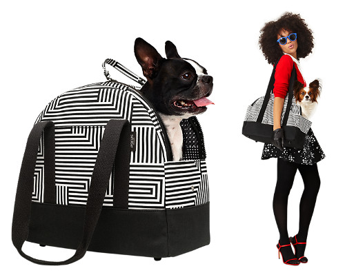 Dog Accessories from Kate Spade Saturday