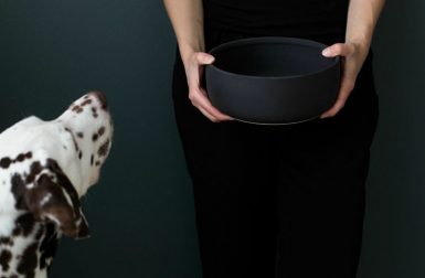 Modern Ceramic Dog Bowls from KIND