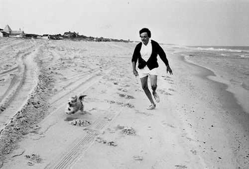 Photographs of Famous Writers and Their Dogs