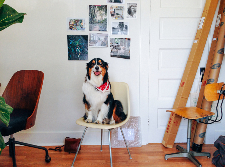 Spotted: Canine Visitors at Laure Joliet’s Los Angeles Photo Studio