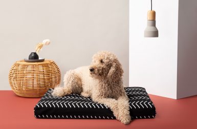 Boho Dog Bed Collection from LayLo Pets