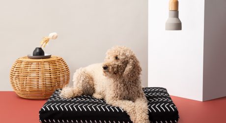 Boho Dog Bed Collection from LayLo Pets