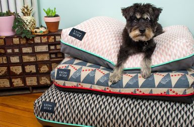 New Limited Edition Dog Beds from Lion + Wolf