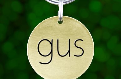Modern Custom Dog Tags from Lovely Pup Tags