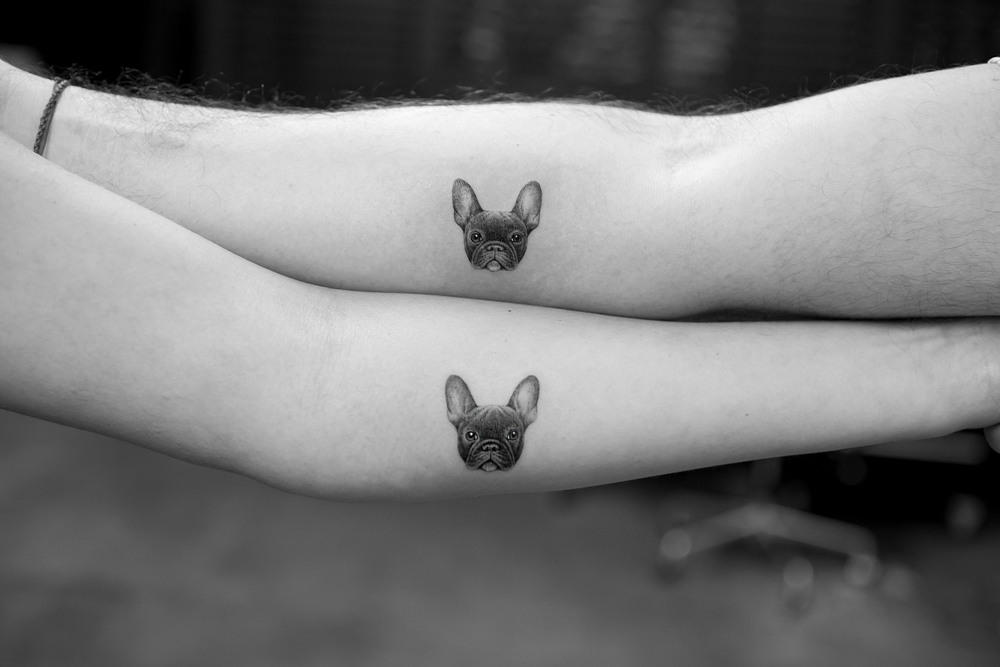 Micro Pet Portrait Tattoos by Sanghyuk Ko