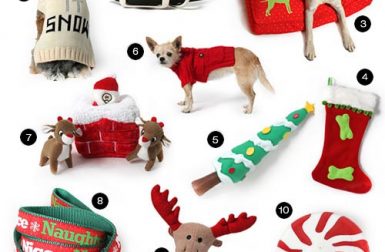 Top 10 Holiday Gifts from Muttropolis
