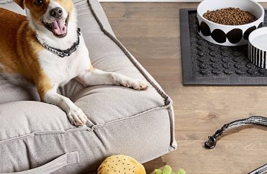New Dog Collection from Crate & Barrel
