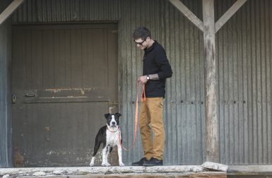 Outings Leash and Collar Collection from West Paw