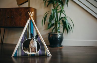 Horizon Pet Teepee from P.L.A.Y.