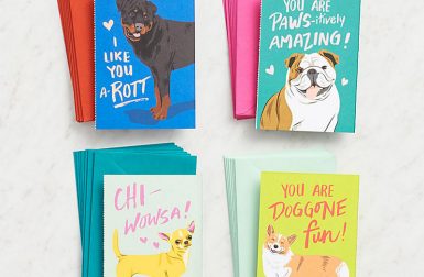Dog Valentine Card Set from Papersource