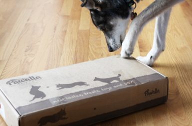 Pawalla: Monthly All-Natural and Organic Dog Product Subscription Box