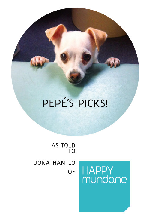 Pepé’s Picks: 5 Items Every Dog Will Love