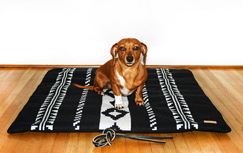 dog travel mat