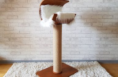 Modern Cat Furniture and Feeders From Real Tree Cat Store