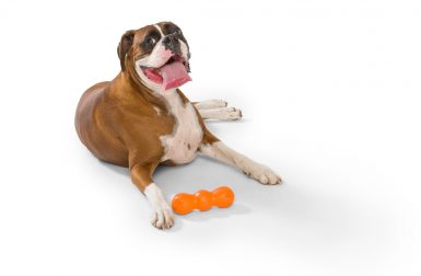 Rumpus Tough Chewers Dog Toy from West Paw