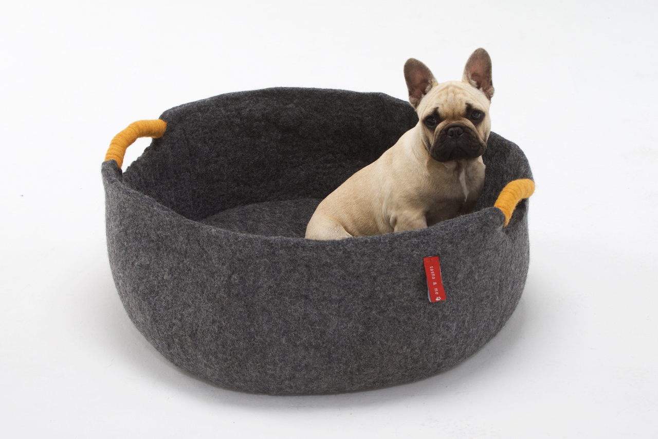 toy dog bed