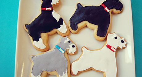 Dog-I-Y: Homemade Schnauzer Sugar Cookies