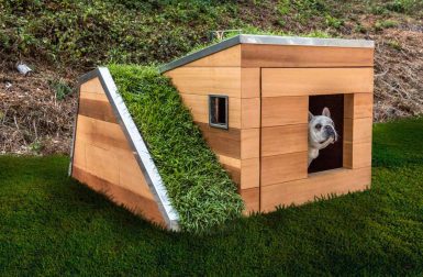 Doggy Dreamhouse Design by Studio Schicketanz
