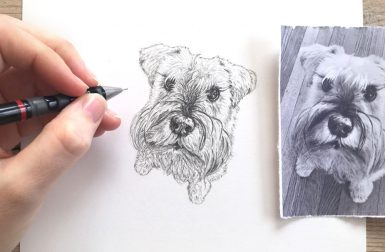 Hand Drawn Pet Portraits by Susanne Kasielke