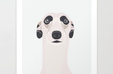 Modern Dog Illustrations by Swen Swenson