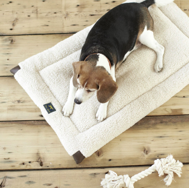 Dog Beds, Toys, and Accessories from Tall Tails