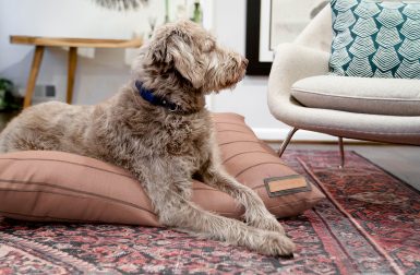 Handmade Luxury Dog Beds from The Houndry