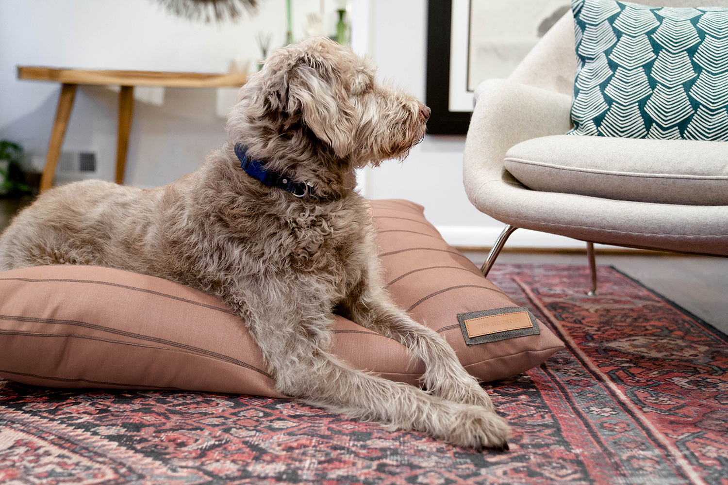 Handmade Luxury Dog Beds from The Houndry