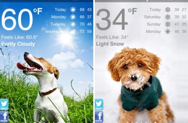 Weather Puppy: Free iPhone Weather App