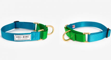 Colorful Martingale Collars from Dog + Bone