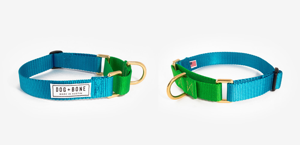 Colorful Martingale Collars from Dog + Bone