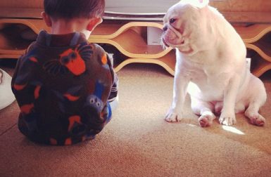 Aya Sakai's Instagram Photos of her Son and his French Bulldog