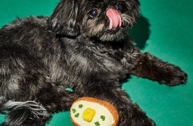 New Crocheted and Boiled Wool Toys from Ware of the Dog