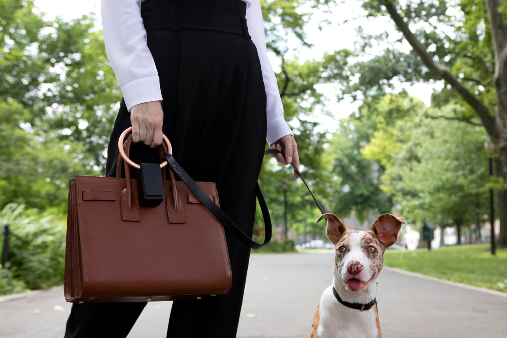 Sophisticated Dog Collars, Leads, and Accessories from Boo Oh