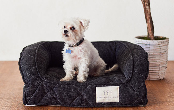 Waterproof Dog Beds from Brentwood Home