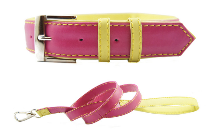 Canville Lola Leather Collar and Leash